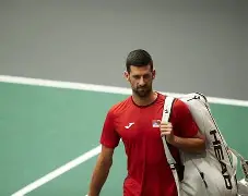 开云官方网站在线登陆-太狠了！德约科维奇在热火比赛中伤愈复出Scout连续三场比赛得分超过连败，浓眉哥连续十场比赛得分超过惊艳表现